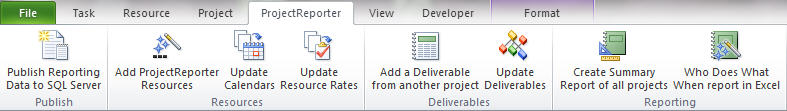 ProjectReporter Ribbon in Project 2010